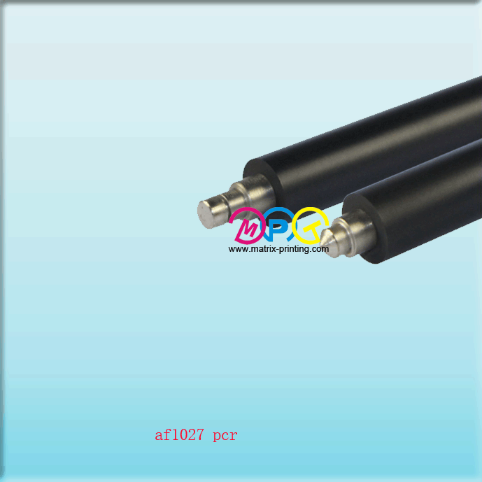 AF1027 PCR