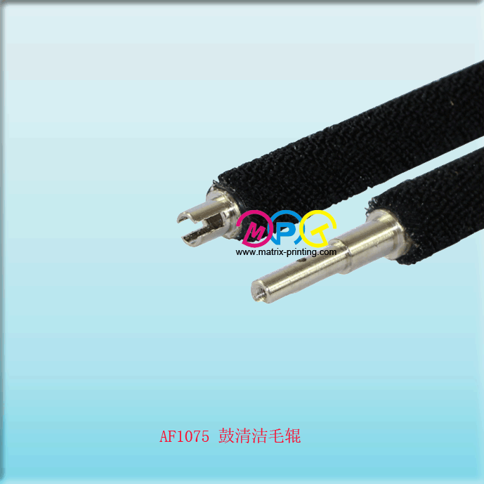 AF1075  Drum Cleaning Brush