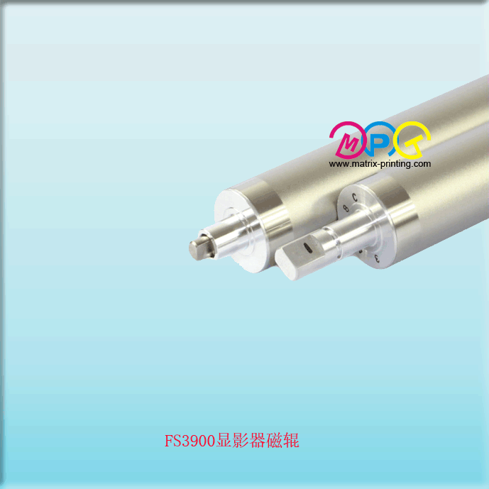 FS3900  mag roller