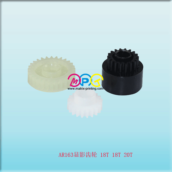 AR163 Developer Gear 18T/18T/20T