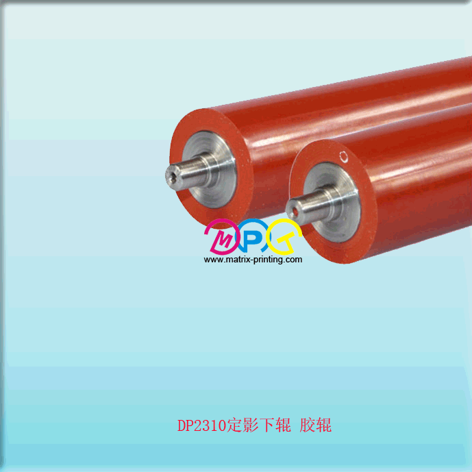 DP2310 Lower roller