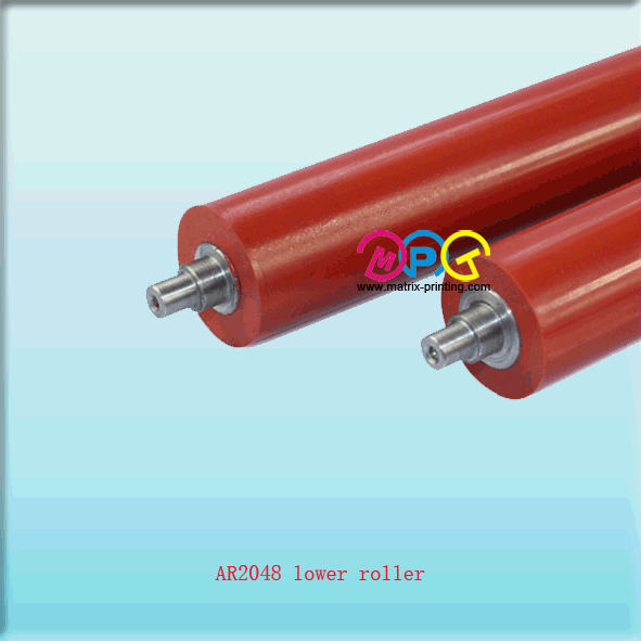 AR2048 lower roller