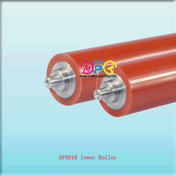 DP8016 lower Roller