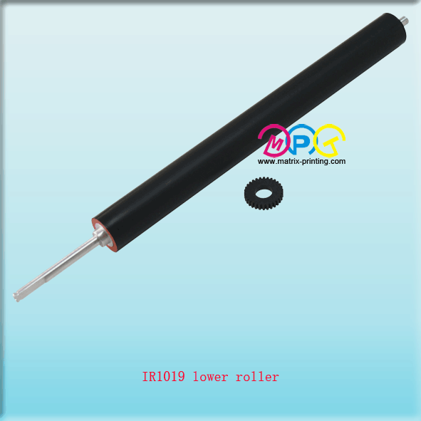IR1019 lower roller