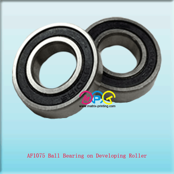 AF1075 Ball Bearing on Developing Roller