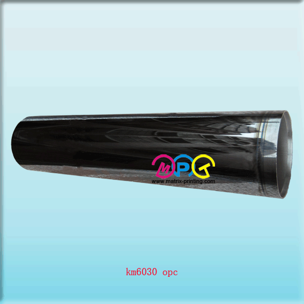 FS6030 OPC